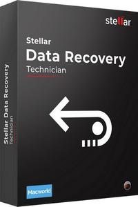 Stellar Data Recovery 11.0.0.3 Multilingual (x64)