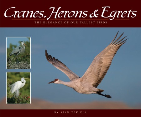 Cranes, Herons & Egrets: The Elegance of Our Tallest Birds (Wildlife Appreciation)