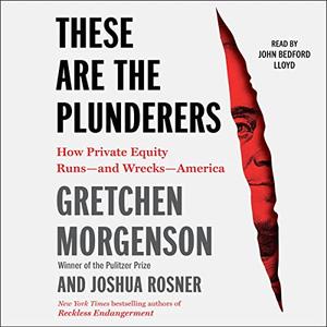 These Are the Plunderers How Private Equity Runs-and Wrecks-America [Audiobook]