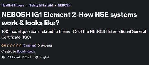 NEBOSH IG1 Element 2-How HSE systems work & looks like