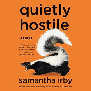 Quietly Hostile Essays [Audiobook]