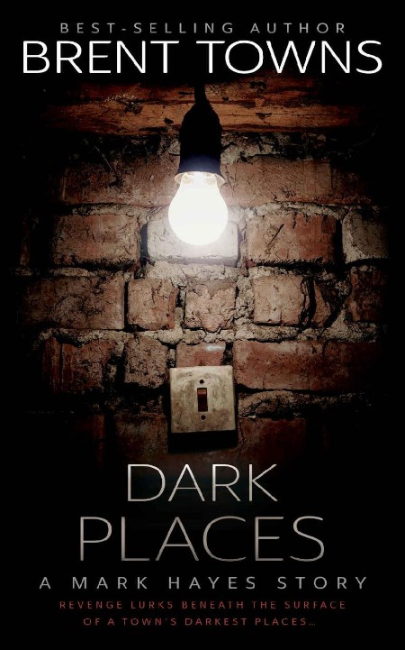 Dark Places: A Private Investigator Mystery (Mark Hayes Book 2)