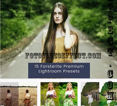 15 Forsterite Premium Lightroom Presets - 8AD394K