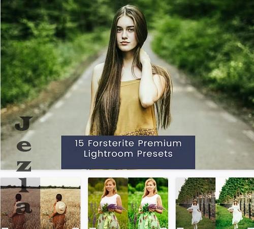 15 Forsterite Premium Lightroom Presets - 8AD394K