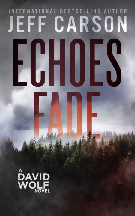Echoes Fade (David Wolf Mystery Thriller Series Book 17)