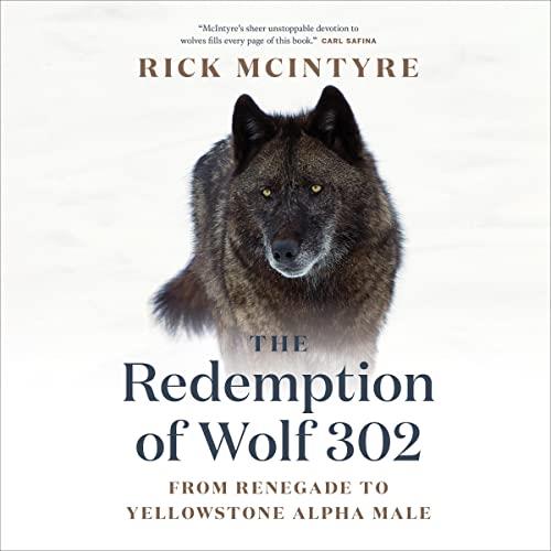 The Redemption of Wolf 302 From Renegade to Yellowstone Alpha Male The Alpha Wolves of Yellowstone, Book 3 [Audiobook]