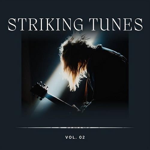 Striking Tunes Vol 2 (2023) FLAC