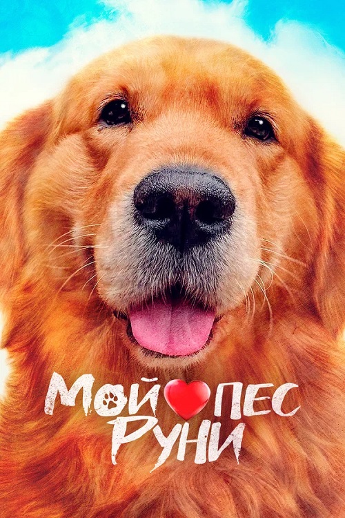    / Meongmongi / My Heart Puppy (2023)  MegaPeer | D