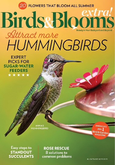 Birds & Blooms Extra - July / 2023