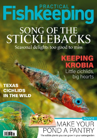 Practical Fishkeeping - July / 2023