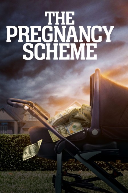 The PregNancy Scheme 2023 1080p WEB h264-EDITH