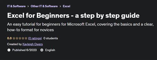 Excel for Beginners - a step by step guide (2023)