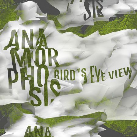Anamorphosis - Bird's Eye View (2023) [Hi-Res]