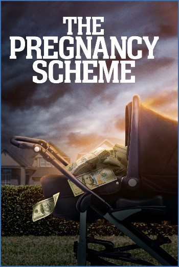 The Pregnancy Scheme 2023 1080p WEBRip x264 AAC-YIFY