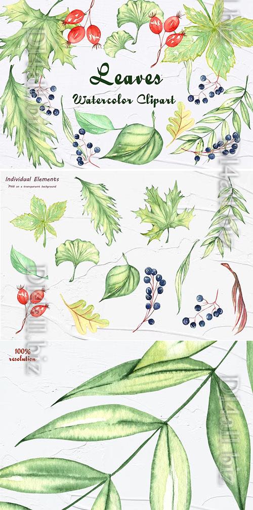Green Leaves Watercolor Clipart [PNG]