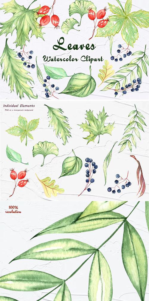 Green Leaves Watercolor Clipart [PNG]