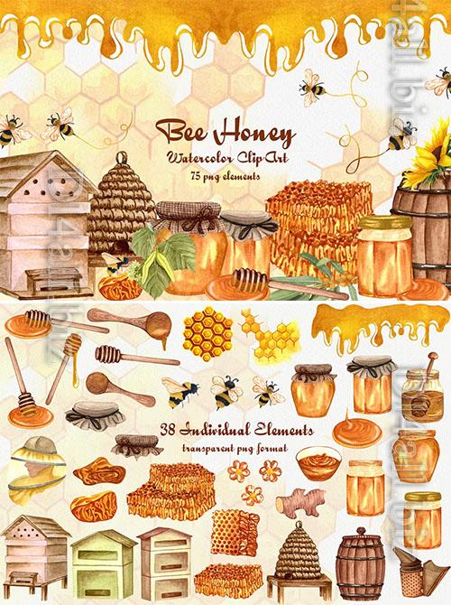 Honey Watercolor Clipart [PNG]