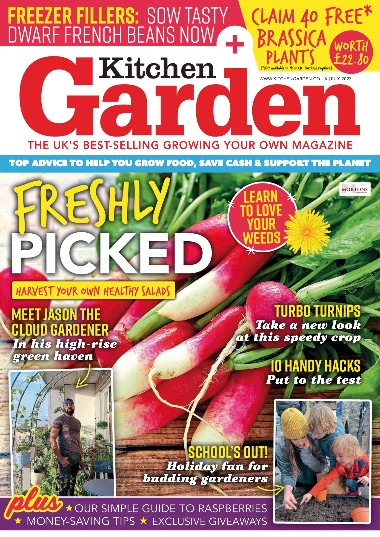 Kitchen Garden - July / 2023