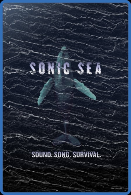 Sonic Sea 2016 1080p WEBRip x264-RARBG