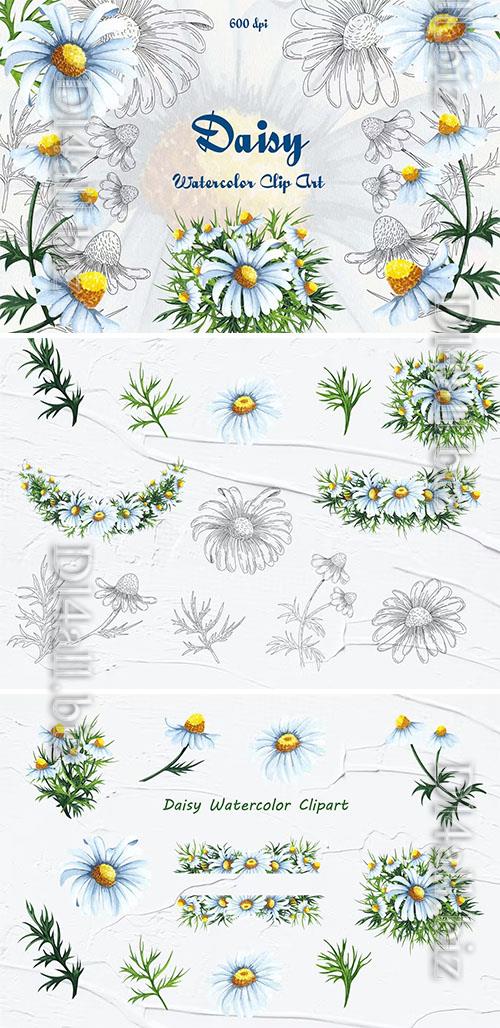 Daisy Watercolor Clipart [PNG]