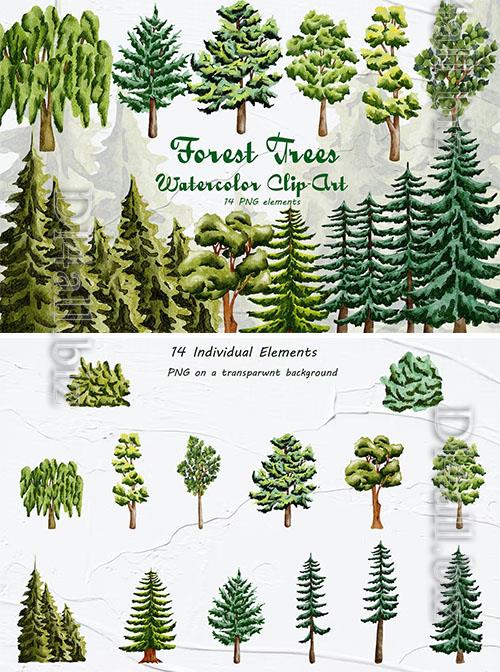Forest Trees Watercolor Clipart [PNG]
