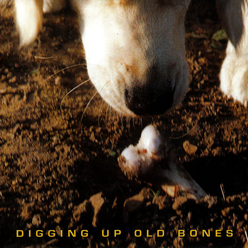 Breaking Violet - Digging Up Old Bones (1996) MP3