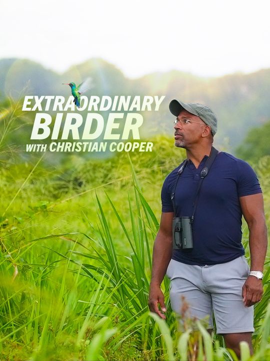 Ptaki Ameryki / Extraordinary Birder with Christian Cooper (2022) [SEZON 1] PL.1080i.HDTV.H264-B89 | POLSKI LEKTOR
