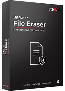 BitRaser File Eraser Standard 5.0.0.5