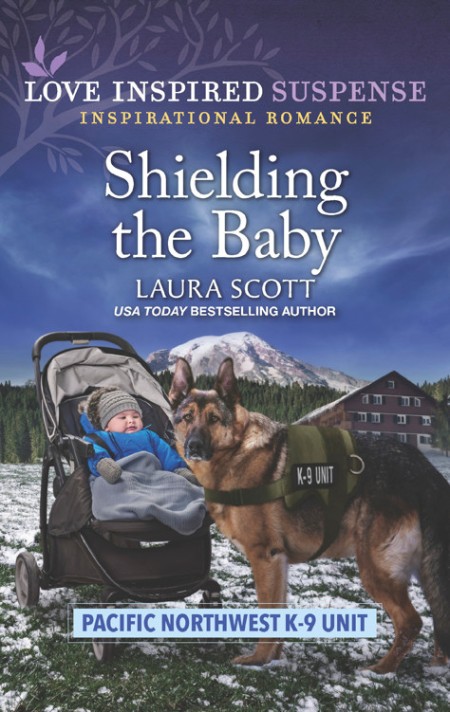 Shielding the Baby by Laura Scott  5dd07507caceb43c909268acf77861ee