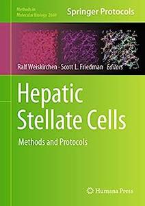 Hepatic Stellate Cells