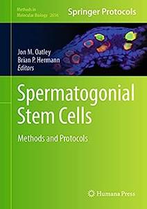 Spermatogonial Stem Cells