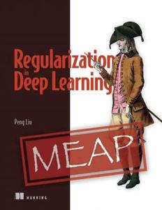 Regularization in Deep Learning (MEAP V06)