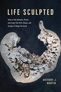 Life Sculpted Tales of the Animals, Plants, and Fungi That Drill, Break, and Scrape to Shape the Earth
