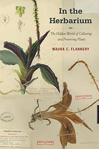 In the Herbarium The Hidden World of Collecting and Preserving Plants