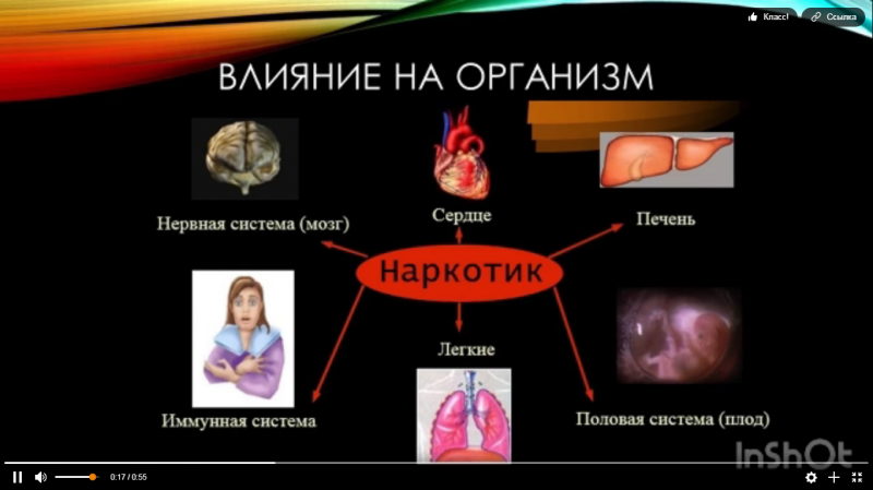 Виртуальный шок-урок «Дорога в никуда»