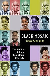Black Mosaic The Politics of Black Pan-Ethnic Diversity