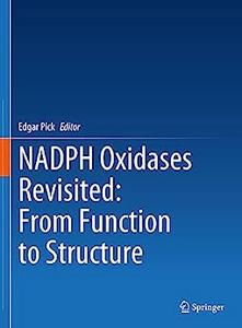 NADPH Oxidases Revisited From Function to Structure