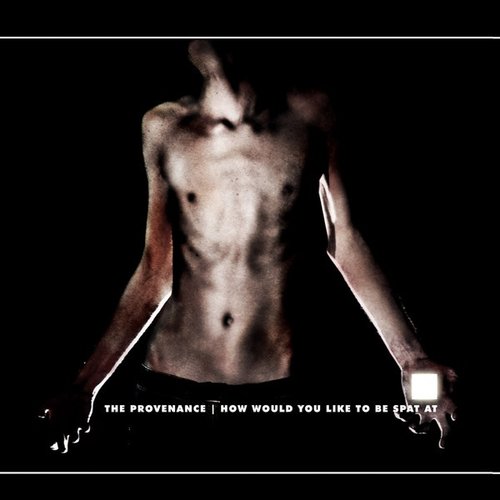 The Provenance - How Would You Like To Be Spat At (2005) Lossless