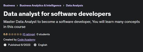 Data analyst for software developers