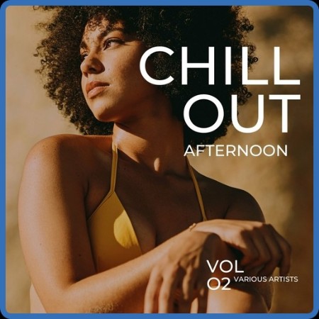 VA - Chill Out Afternoon, Vol  2 (2023)