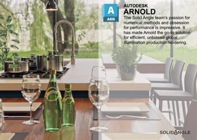 Solid Angle 3ds Max to Arnold 5.6.3.1 Win x64