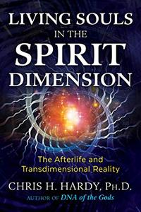 Living Souls in the Spirit Dimension The Afterlife and Transdimensional Reality