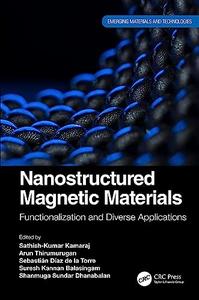 Nanostructured Magnetic Materials Functionalization and Diverse Applications