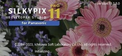 SILKYPIX Developer Studio Pro for Panasonic 11.3.10.0 (x64)