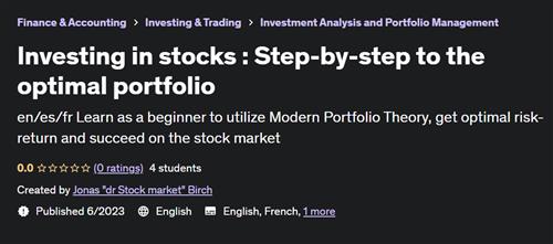 Investing in stocks - Step-by-step to the optimal portfolio