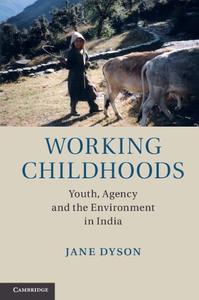 Working Childhoods Youth, Agency and the Environment in India