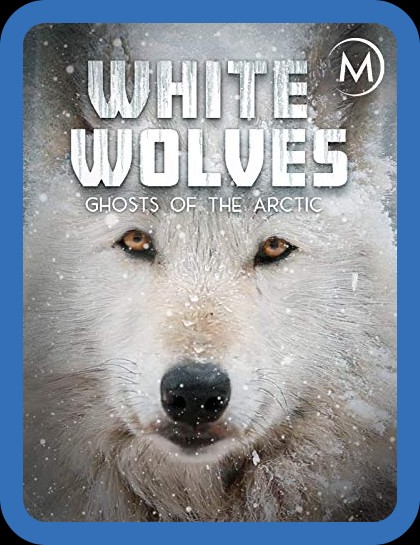 White Wolves Ghosts of The Arctic 2017 1080p WEBRip x264-RARBG