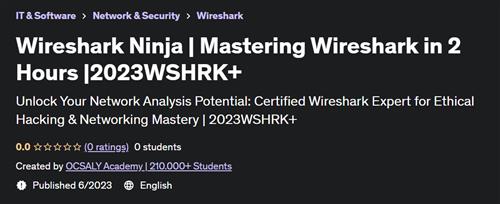 Wireshark Ninja – Mastering Wireshark in 2 Hours – 2023WSHRK+ |  Download Free