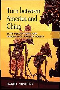 Torn Between America and China Elite Perceptions and Indonesian Foreign Policy