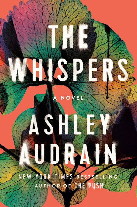 The Whispers by Ashley Audrain  99b5cc356f7dd02d4186468d8e588b10